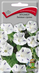 Ипомея Лиловые стрелки купить