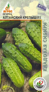 Огурец Алтайский крепыш F1  купить