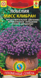 Лобелия Мисс Клибран  купить