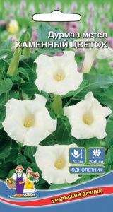 Дурман Каменный Цветок метельчатый купить