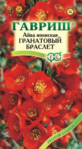 Айва японская (хеномелес) Гранатовый браслет  купить