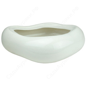 Кактусник Волна бол.(бел) 25*20/h купить