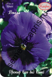 Виола Премьер Блю виз Блотч (Дания)/1шт купить