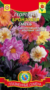 Георгина Бронзовая смесь  купить