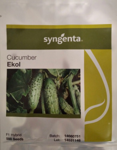 Огурец Эколь F1 500 шт купить