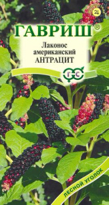 Лаконос американский Антрацит  купить