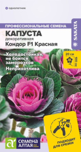 Капуста декоративная Кондор F1 Красная купить