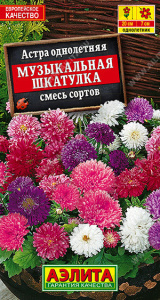 Астра Музыкальная шкатулка, смесь  купить