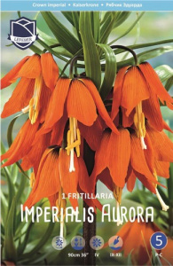 Рябчик Империалис Аурора /1шт купить