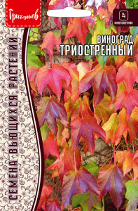 Виноград Триостренный купить