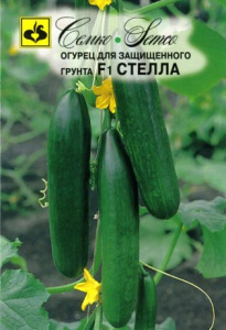 Огурец Стелла F1  купить