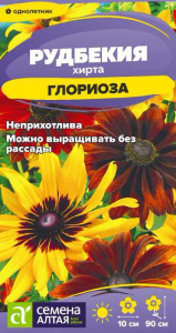 Рудбекия хирта Глориоза купить