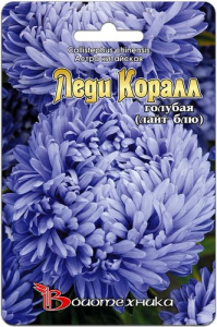 Астра Леди Коралл Лайт Блю  купить