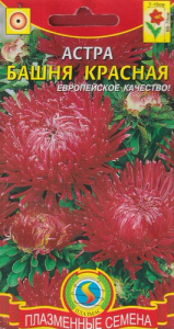 Астра Башня Красная  купить