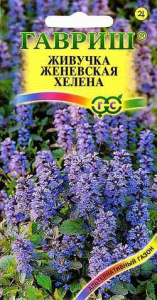 Живучка женевская Хелена  купить