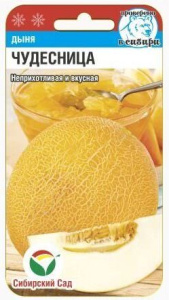Дыня Чудесница  купить