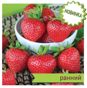 Земляника Дали купить