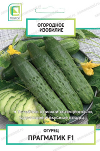 Огурец Прагматик F1 (ОИ) купить
