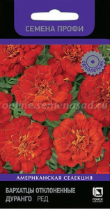 Бархатцы Дуранго Ред откл. купить