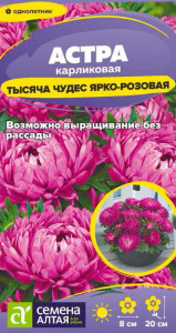 Астра Тысяча чудес Ярко-розовая карликовая купить