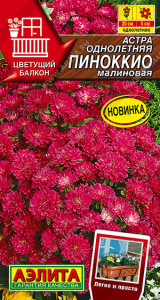 Астра Пиноккио малиновая /Цветущий балкон купить