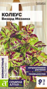 Колеус Визард Мозаика