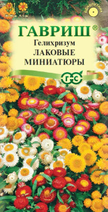 Гелихризум  Лаковые миниатюры карликовый купить