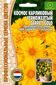 Космос Carpet Gold карликовый серножёлтый   купить