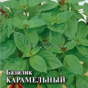 Базилик Карамельный 10г Проф купить