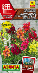 Львиный зев Балконное очарование F1, смесь купить