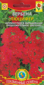 Вербена Люцифер  купить
