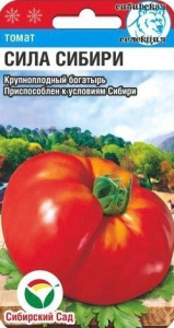 Томат Сила Сибири купить