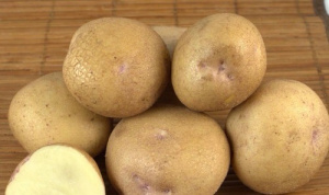 Картофель семенной Синеглазка 2016 2кг (Суперэлита) купить