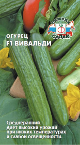 Огурец Вивальди  F1 купить