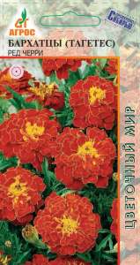 Бархатцы Ред Черри купить
