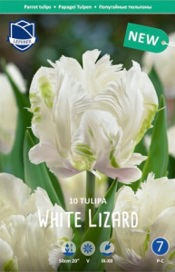 Тюльпан Уайт Лизард /10шт купить