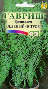 Гревиллея Зеленый Остров купить