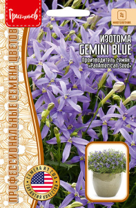 Изотома Gemini Blue (PanAmerican)  купить