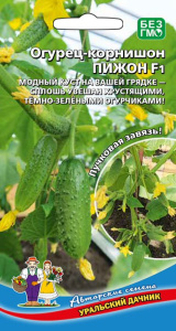 Огурец Пижон - корнишон F1 купить