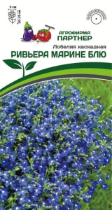 Лобелия Ривьера Марине Блю каскадная купить