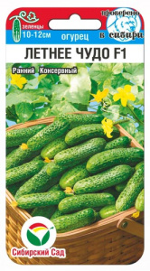 Огурец Летнее чудо купить