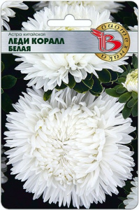 Астра Леди Коралл Белая (Вайт)  купить