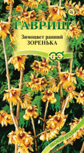 Зимоцвет Зоренька  купить