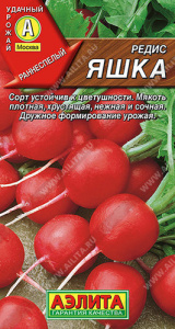 Редис Яшка  купить