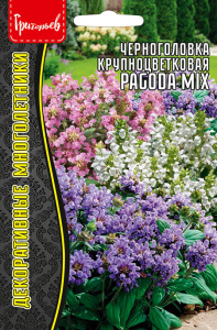 Черноголовка Pagoda Mix крупноцв.  купить