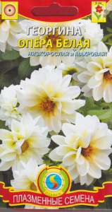 Георгина Опера Белая  купить