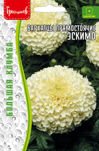 Бархатцы Эскимо прямостоячие купить