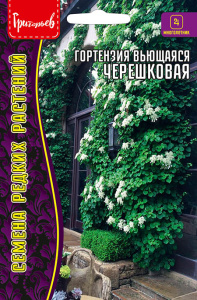 Гортензия вьющаяся Черешковая купить