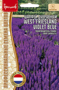 Шалфей дубравный West-Friesland Violet Blue купить