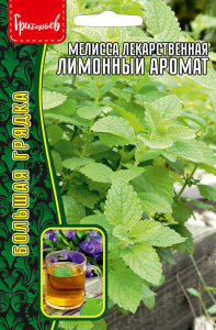 Мелисса лекарственная Лимонный Аромат купить